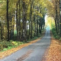 Lokalne Szlaki Rowerowe Doliny Karpia