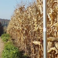 Lokalne Szlaki Rowerowe Doliny Karpia