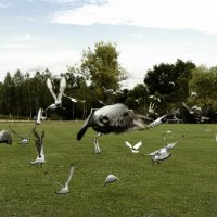 Gminne Dożynki w Podolszu – Święto Plonów Gminy Zator