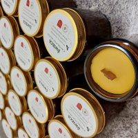 Relacja z I Konferencji Pszczelarskiej pod patronatem Burmistrza Zatora