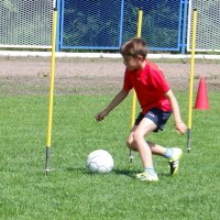 Piknik Przedsiębiorców