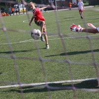 Piknik ze Szwajcarem