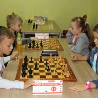 Piknik ze Szwajcarem