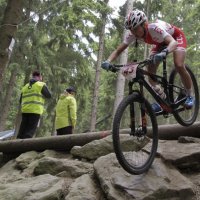 Zawodnicy UKS SOKÓŁ ponownie w reprezentacji Polski!