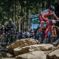 Występ zawodników w Reprezentacji Polski podczas Pucharu Świata