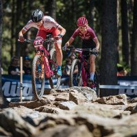 Występ zawodników w Reprezentacji Polski podczas Pucharu Świata