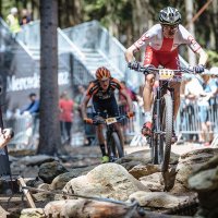 Występ zawodników w Reprezentacji Polski podczas Pucharu Świata