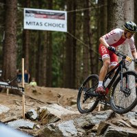 Występ zawodników w Reprezentacji Polski podczas Pucharu Świata